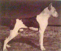 /album/%cf%80%ce%b7%ce%b3%ce%ae-%3a-boxernews-forumcommunity-net/%ce%b1%ce%bd%cf%84%ce%af%ce%b3%cf%81%ce%b1%cf%86%ce%bf-%282%29-%ce%b1%cf%80%cf%8c-1002651-628283697219364-325058491-n-jpg/